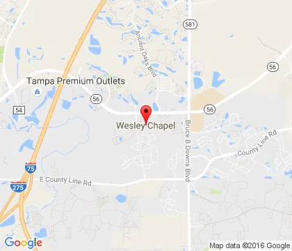 logo-image - WesleyChapel-FL